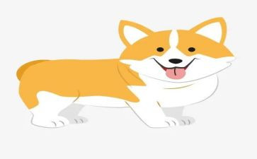 犬只管理工作总结7篇