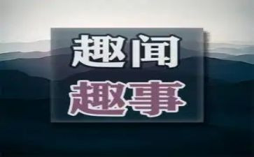 班级趣事作文600字8篇