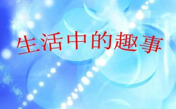 猫的趣事作文600字精选6篇