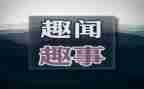 春节趣事500初中作文8篇