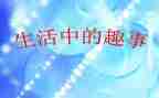 猫的趣事作文600字精选6篇