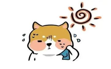 《热闹》作文最新8篇