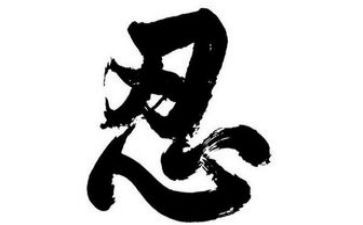 零容忍2心得体会7篇