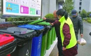 扔垃圾的调查报告精选6篇