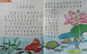幼儿中班个人教师工作总结6篇