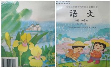 幼儿中班个人教师工作总结精选6篇