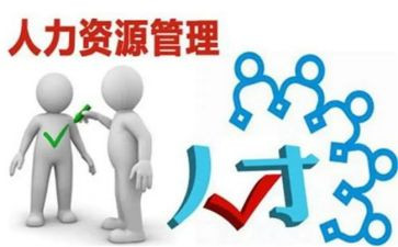 2024年度人力工作总结通用8篇