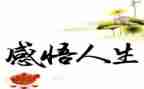 悟人生作文优秀7篇