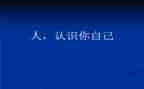 小班6的认识教案最新6篇