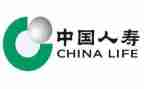 中国人寿的合同6篇