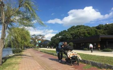 大班绘本母鸡萝丝去散步教案与反思7篇