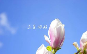 小学生三月演讲稿7篇