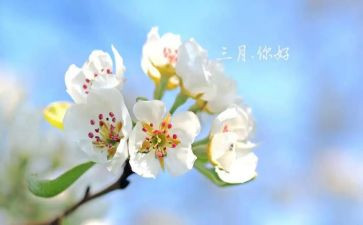 三月份工作总结推荐8篇