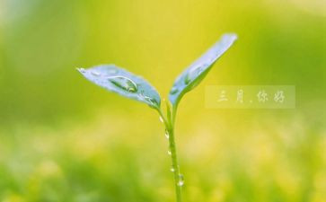 小班三月份月工作总结7篇