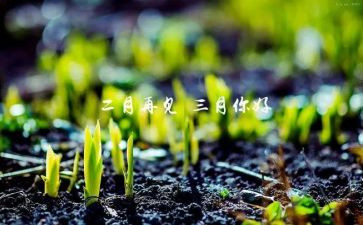 2024小班三月份工作总结7篇