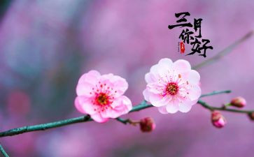 三月工作计划6篇
