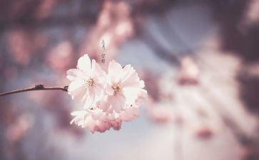 三月工作计划推荐5篇