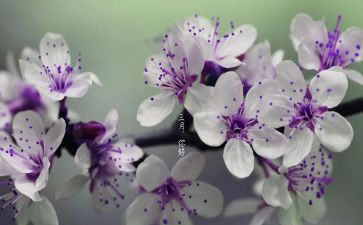班主任三月工作计划5篇