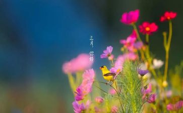三月销售工作计划6篇