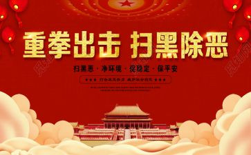 扫黑办工作总结7篇