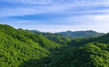 如山的父爱演讲稿优秀8篇