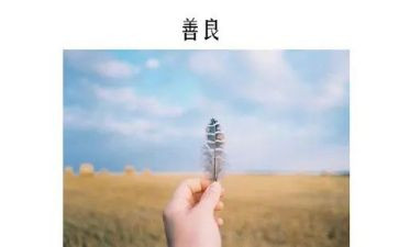 关于爱和善良的作文最新7篇