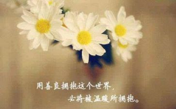 改善周心得体会6篇