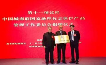 2024年区工商联工作总结6篇