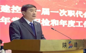 陕建个人年度总结最新6篇