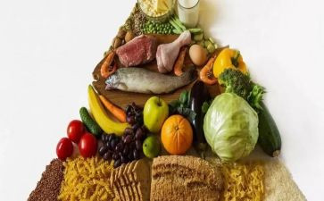 膳食会工作总结7篇