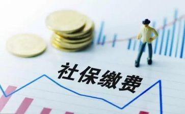 社保卡工作个人总结6篇