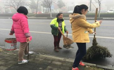 社会调查的个人总结8篇