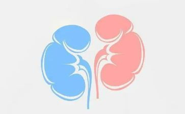 肾内科工作计划5篇