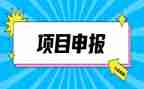 申报工程师的工作总结8篇