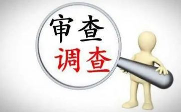 审查工作总结5篇