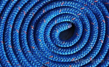 跳绳活动的总结最新5篇