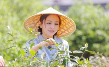 团生活演讲稿通用7篇