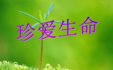作文生命的感悟800字5篇