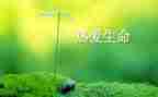 生命的感悟作文精选5篇