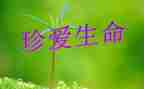 生命作文作文优质8篇