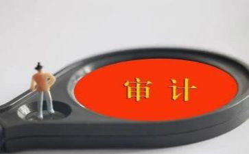 公司审计室工作总结范文6篇