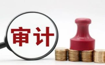 审计前的调查报告6篇