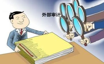 2024审计局工作总结8篇