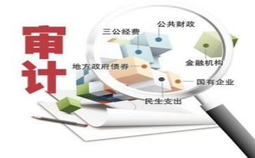 医院审计工作总结7篇
