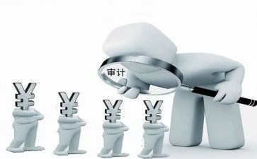 审计处工作总结8篇