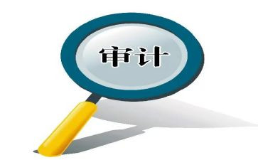年度审计工作报告6篇