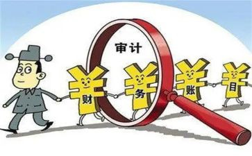 半年度审计工作总结5篇