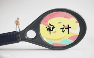 审计人演讲稿8篇