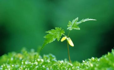 印象深刻的事作文400字优秀6篇