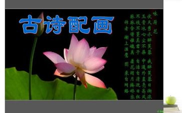 诗歌比赛活动总结5篇